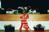 Bild 01