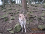 Wanderung 2010