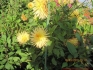 Wanderung 2010